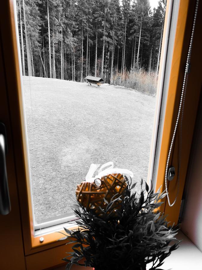 Chalet6Harrachov Se Saunou 외부 사진